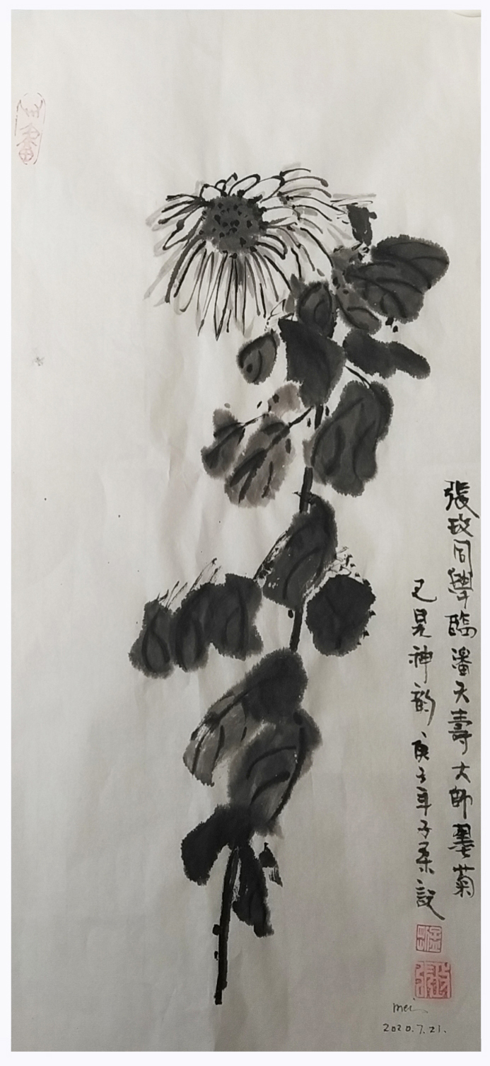 “花好月圆”中外艺术家云上展览（三）(图37)